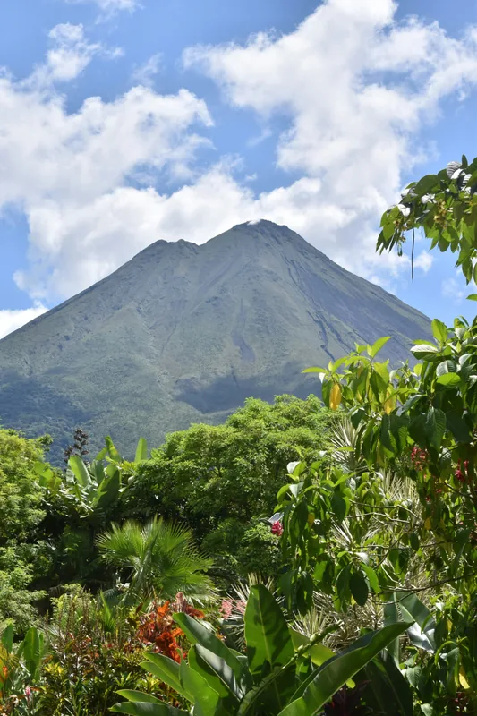 A volcano rising above dense green jungle