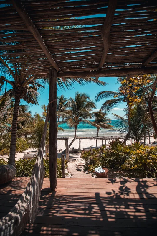 Palm-shaded path down to the beach